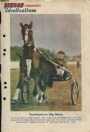 Samlarbilder-Cards All sport idrottsalbum 1946
